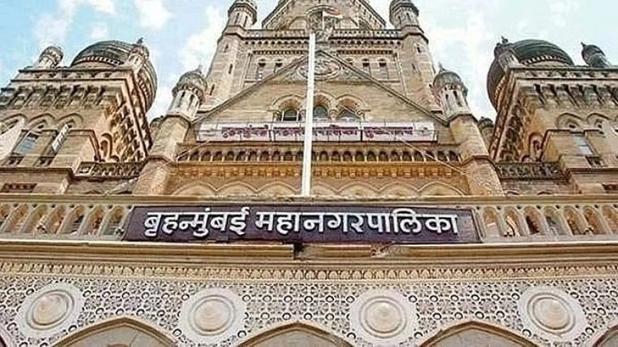 BMC Launches Online Cremation and Burial Booking Platform to Ease Citizens’ Burden During Grief