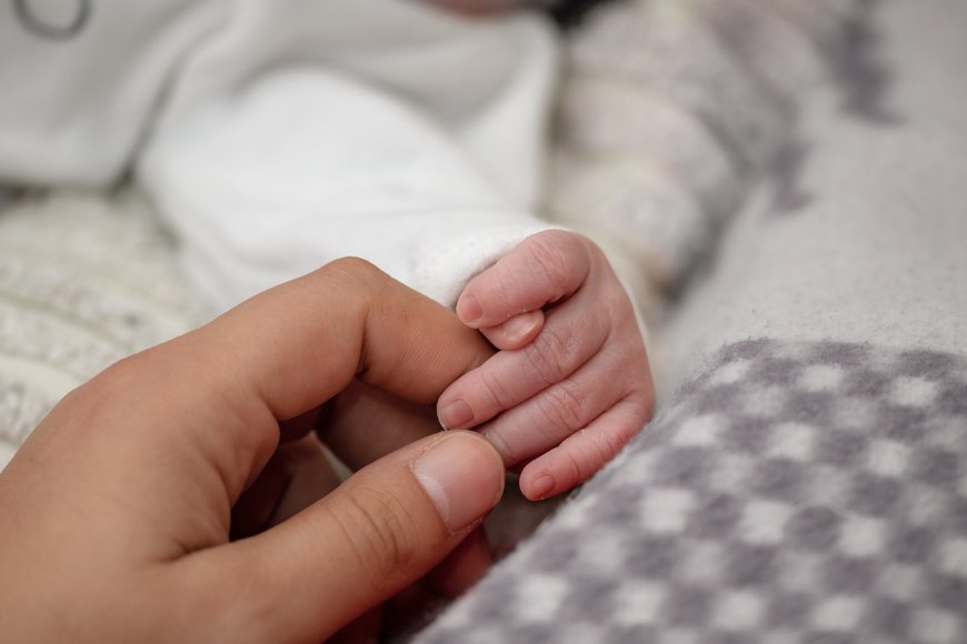Palghar Tragedy: 3-Year-Old Girl Falls to Death from 12th Floor in Naigaon, Sparks Safety Concerns in High-Rise Societies