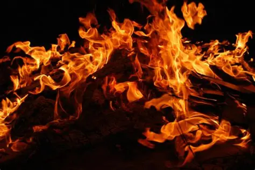Ammonia Gas Leak Sparks Fire at Mahananda Dairy in Goregaon; Swift Response Averts Major Tragedy