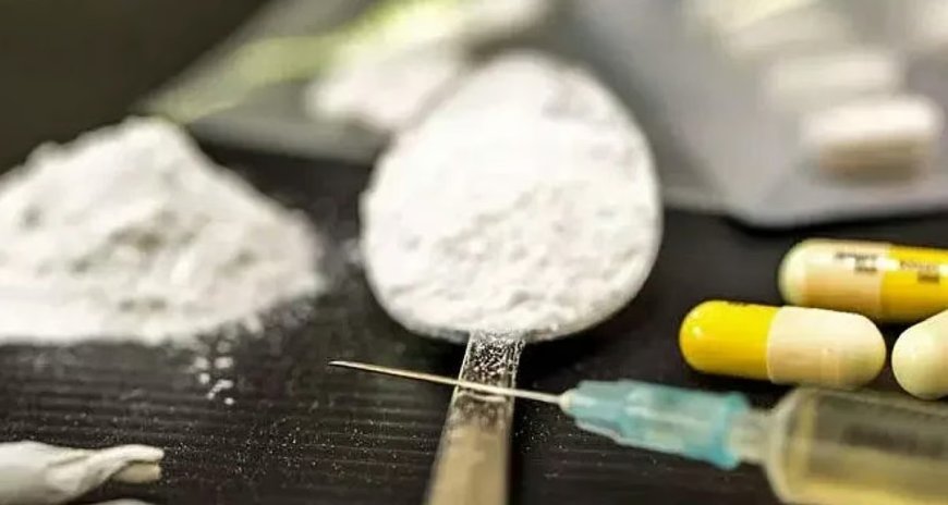 Mumbai Police Seize 926 Kg of Narcotics Worth ₹174 Crore in Six-Month Crackdown; 744 Arrested