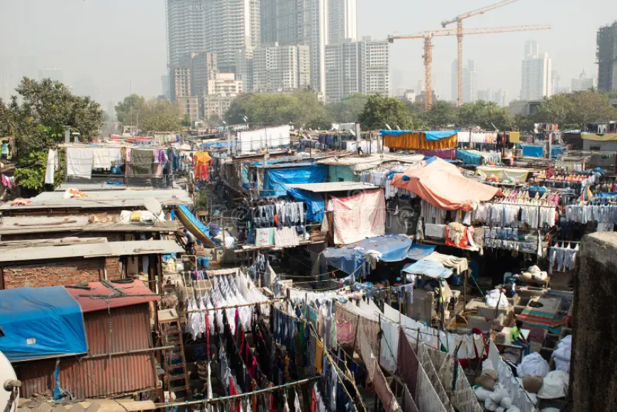 धोबी घाट विवाद: बॉम्बे हाईकोर्ट ने एसआरए जमीन विवाद में कपड़े सुखाने के स्थान का निरीक्षण करने का आदेश दिया