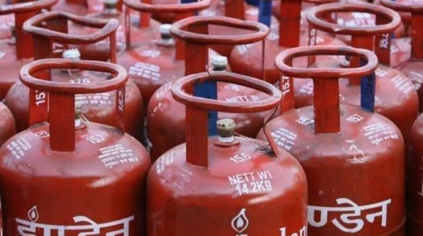 Government Ensures Transparent Subsidy Transfers for Domestic LPG Consumers: Puri