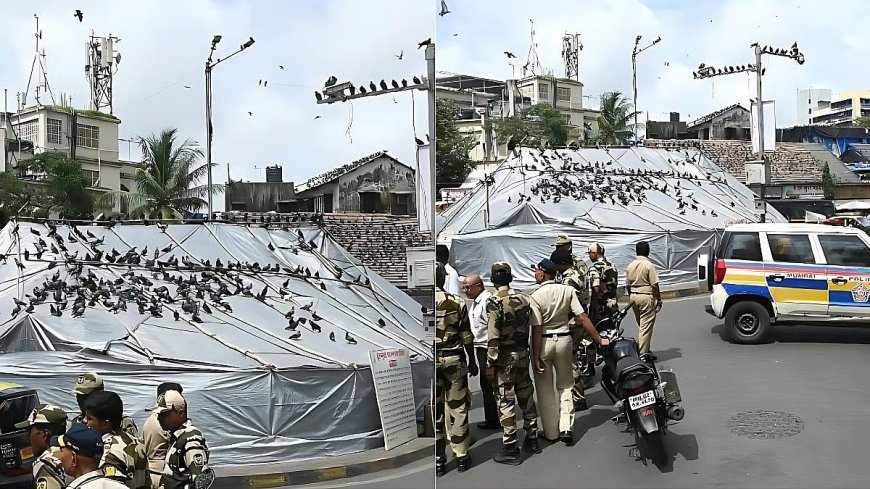 दादर कबूतरखाना फिर सील, बीएमसी ने लगाया तिरपाल, पुलिस तैनात