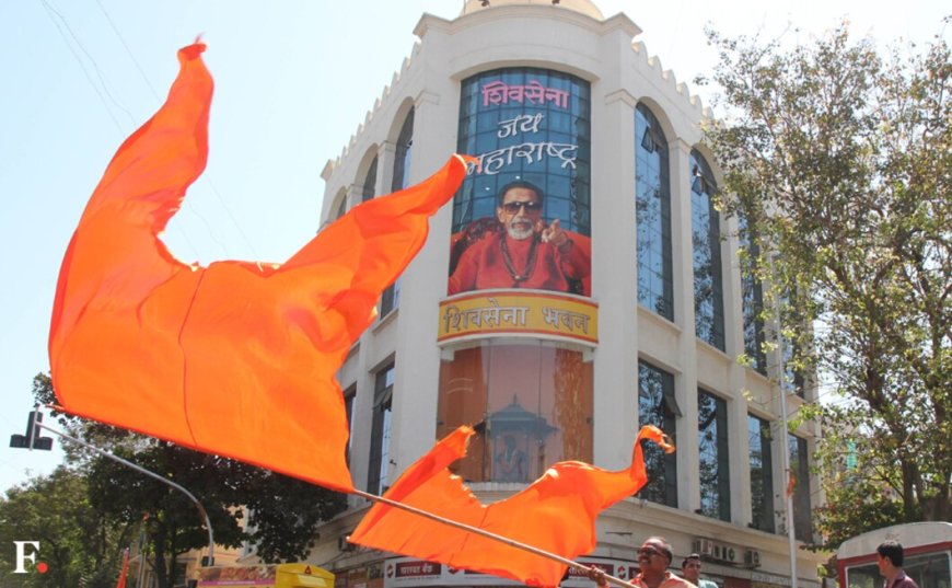 SC’s Stray Dog Relocation Order Sparks Political, Civic Debate: Shiv Sena MP Flags Lack of Basic Arrangements