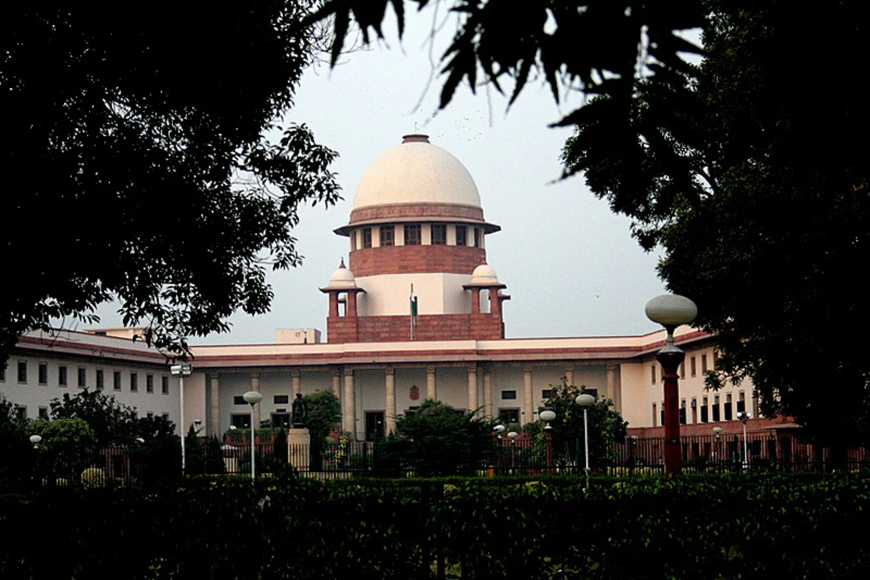 SC Modifies Earlier Order: Stray Dogs Can Be Released Back After Vaccination and Deworming