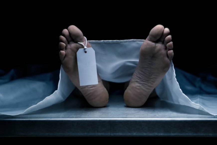 वसई-विरारमध्ये पाणथळीत तीन जणांचा मृत्यू; दोन बुडाले, एकाचा विजेच्या धक्क्याने मृत्यू