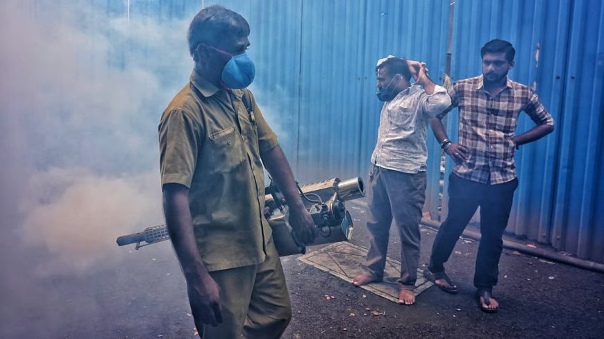 मुंबई में मलेरिया और चिकनगुनिया के मामलों में इजाफा, डेंगू और गैस्ट्रो में गिरावट: बीएमसी की रिपोर्ट