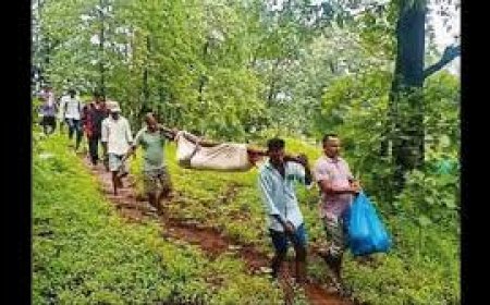 Carried on Foot for Help: Lack of Road Costs 18-Year-Old His Life in Palghar Village