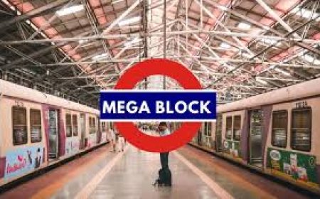 Sunday Travel Alert for Mumbaikars: Mega & Jumbo Blocks to Disrupt Local Trains on February 8