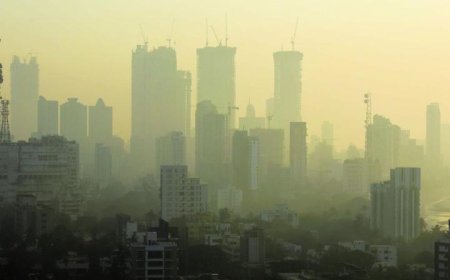 Mumbai Under Smog Cover As Air Quality Stays Poor; Several Areas Record Severe AQI